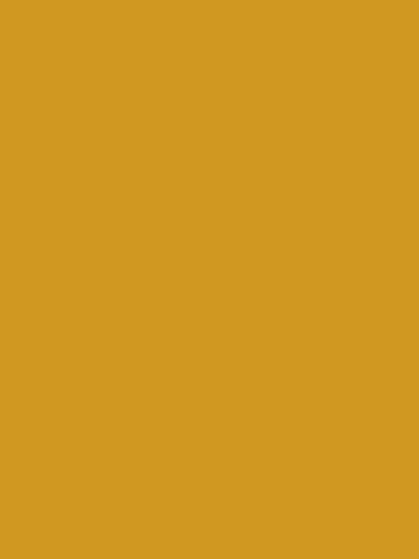 阿贝特1886 GIALLO MEG饰面