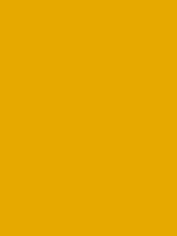 阿贝特469 Giallo Africa饰面