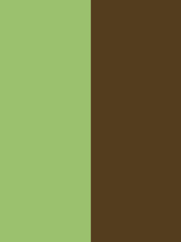 阿贝特6269 Stripes 03 Chocolate/Pea饰面