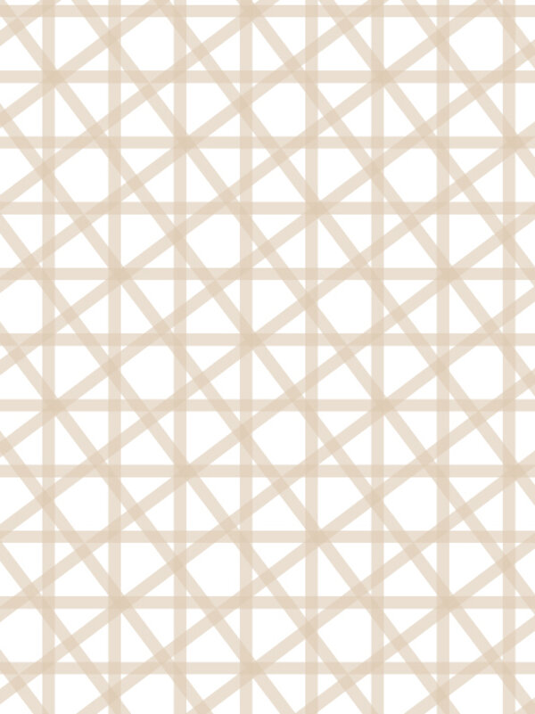 阿贝特6426 Pastel Beige Medium饰面