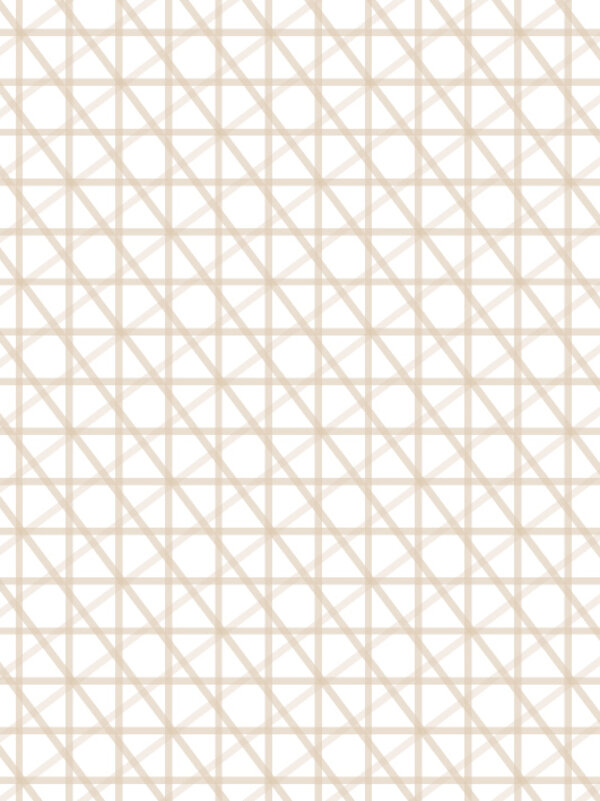 阿贝特6427 Pastel Beige Light饰面