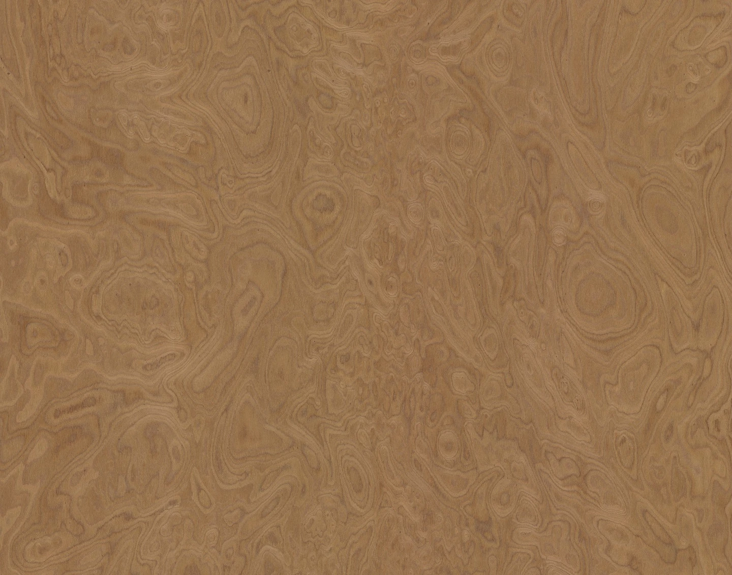 ALPI10.07 ALPI Walnut Burl饰面板