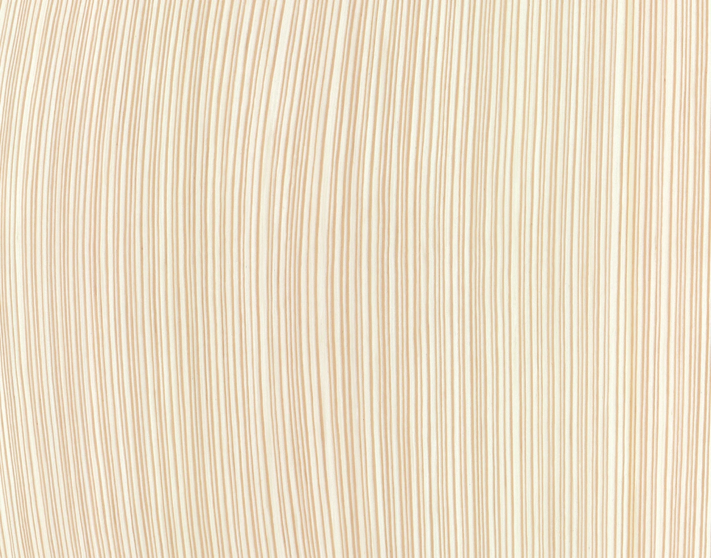 ALPI18.90 ALPI Wavy Fir White饰面板