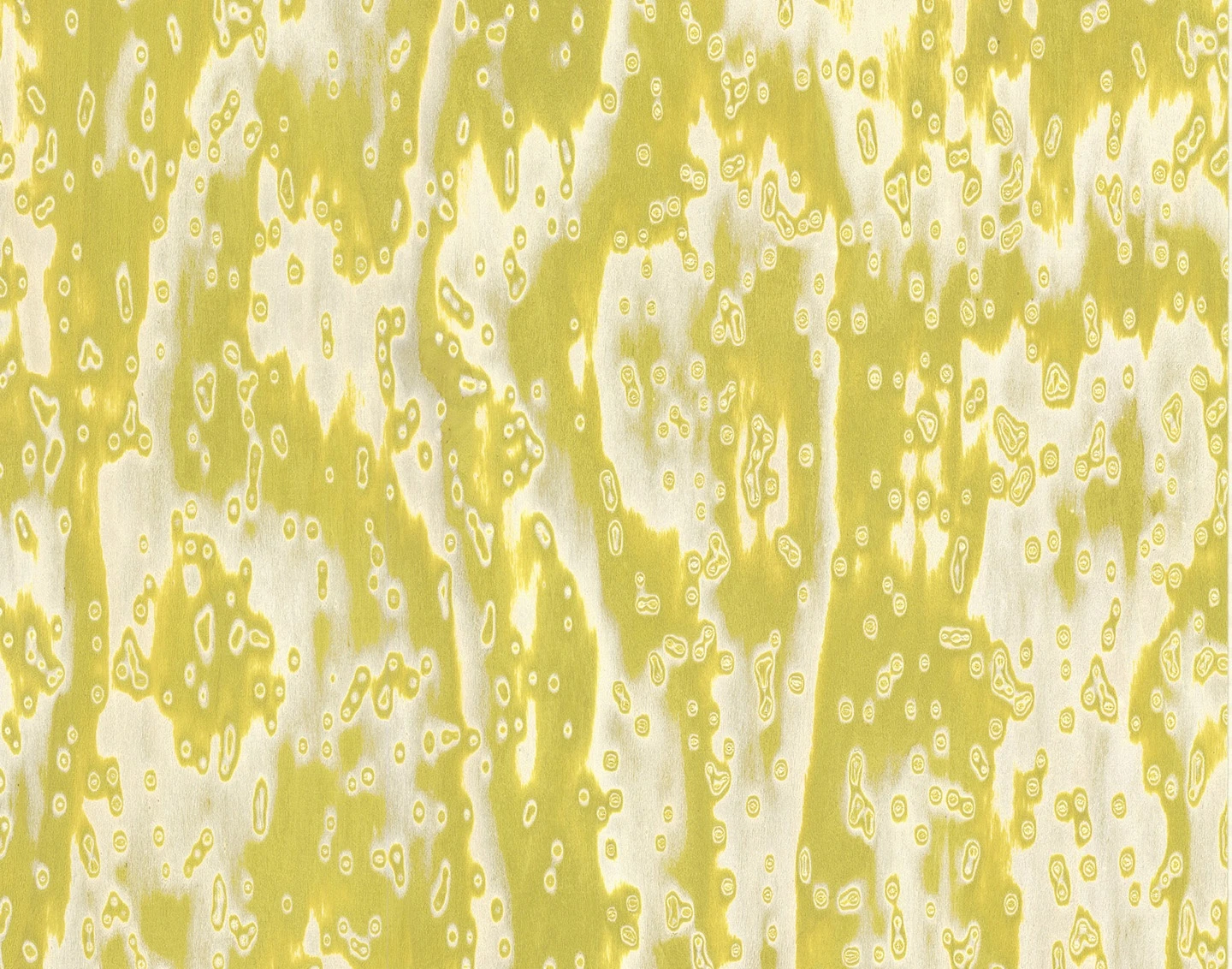 ALPI18.35 ALPI Wooclé Yellow饰面板