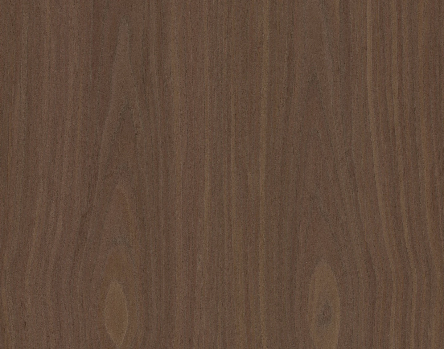 ALPI10.11 ALPI Xilo Walnut Flamed饰面板