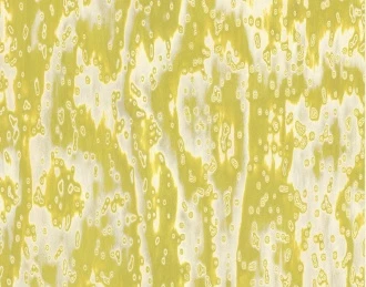 ALPI18.35 ALPI Wooclé Yellow饰面