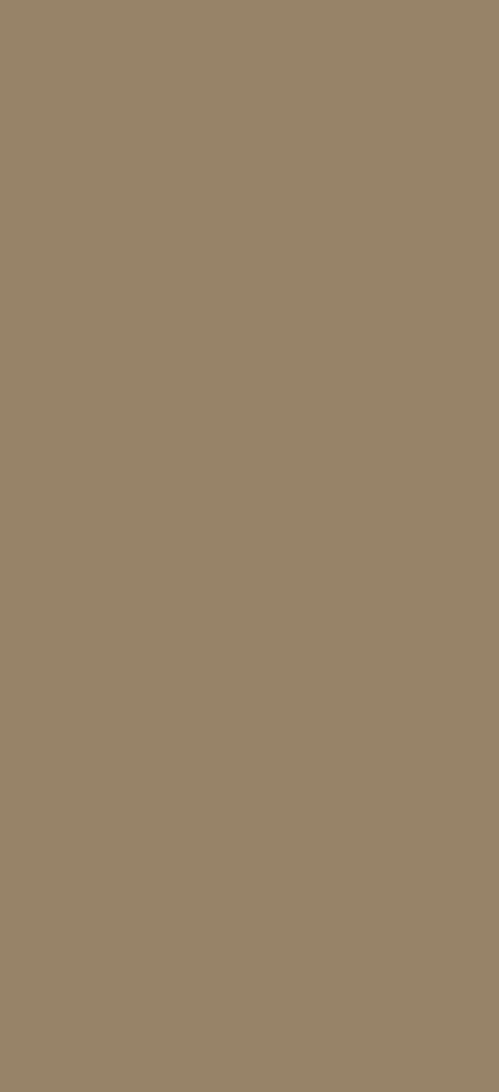 博耐克Taupe Micro饰面