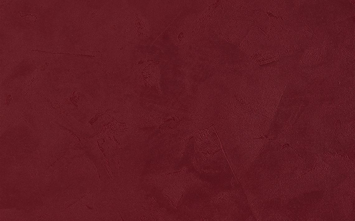 可丽芙UB16 ARES 饰面大图