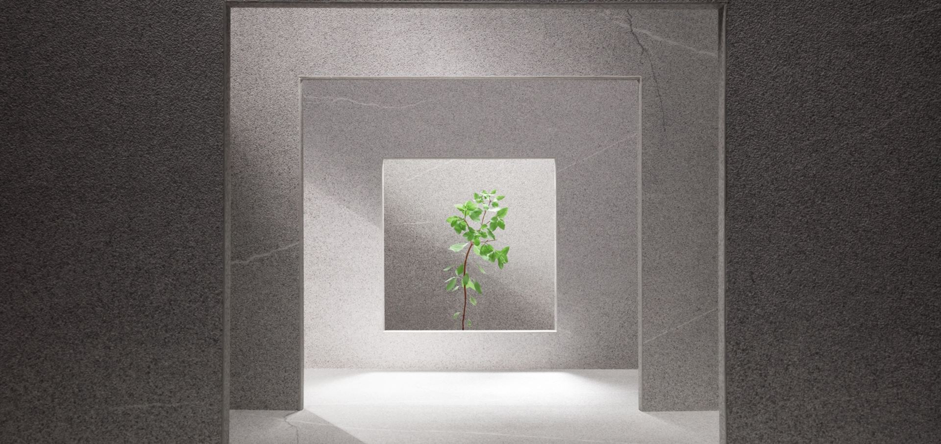 Concreta 纹理