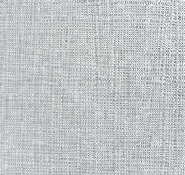 可丽芙FA08 NADIR