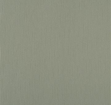 可丽芙FB85 PAGLIA