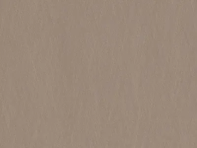 爱格板F579 ST20 香槟色流光金属纹