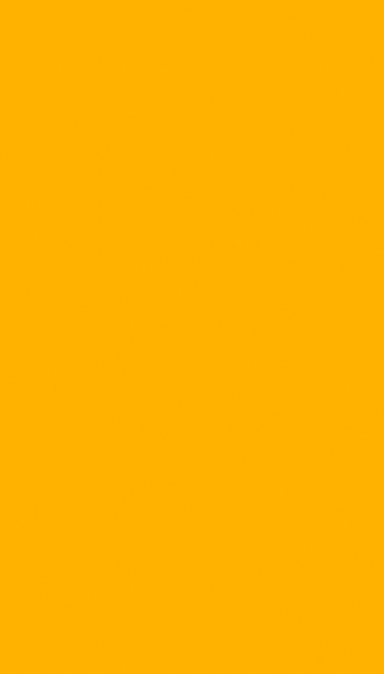 芬萨22G Amarillo Sol饰面板