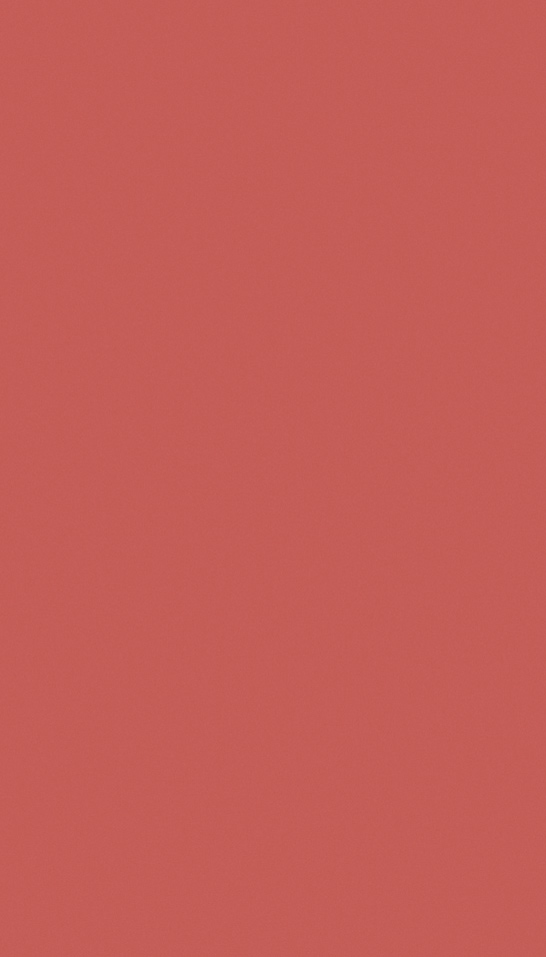 芬萨254B Rojo Arcilla饰面板