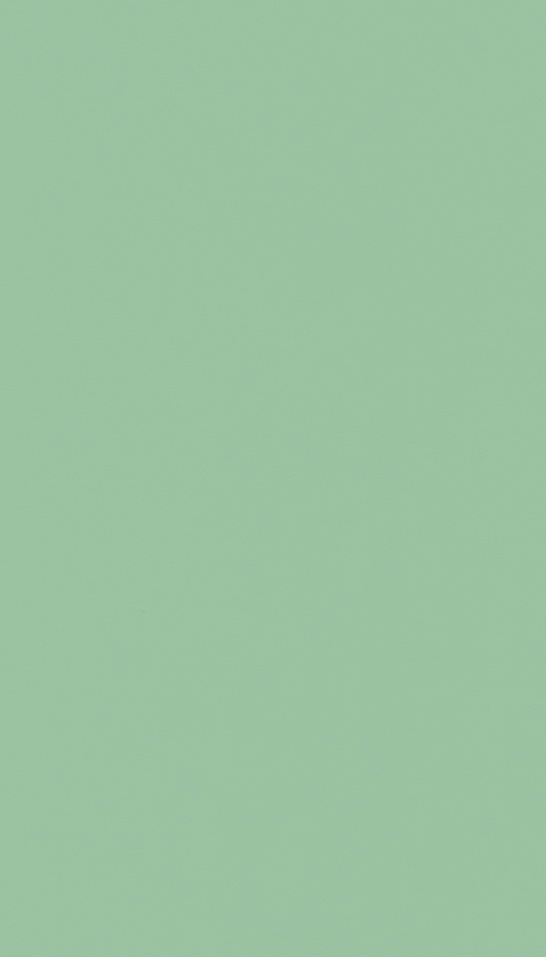 芬萨86W Verde Talco饰面板