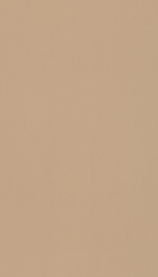 芬萨T006 Suede Canela饰面板
