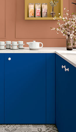 芬萨55C Azul Handy实景应用