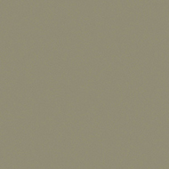 芬萨663B Muted Green饰面