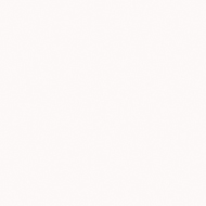芬萨78E White SR209饰面