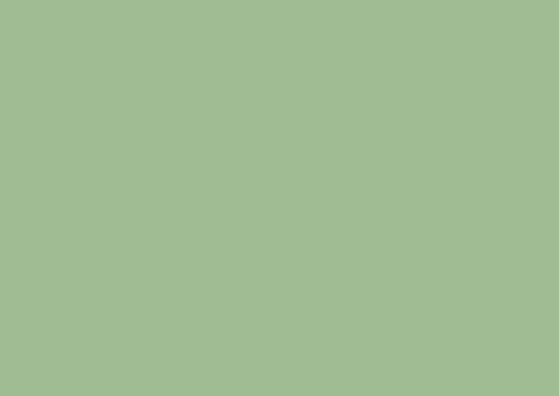 芬德麦克斯0849 Frosted Green饰面