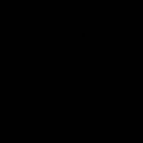 卡斯托莫D107 Black饰面