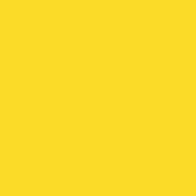 卡斯托莫D133 Dark Yellow饰面