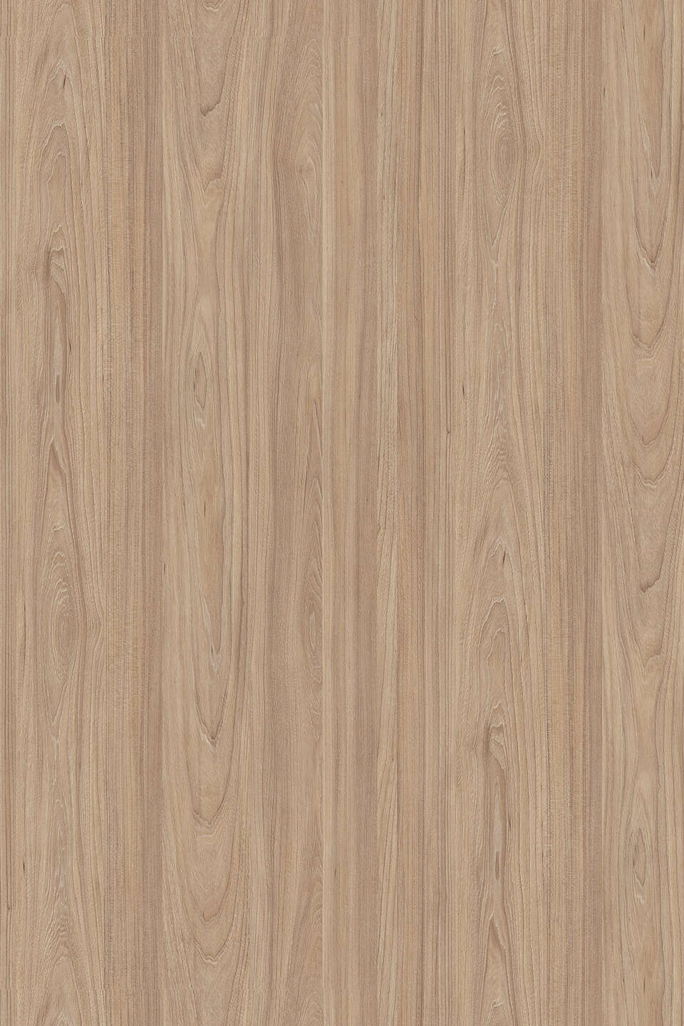 克诺斯邦5500 Natural Noble Elm饰面板