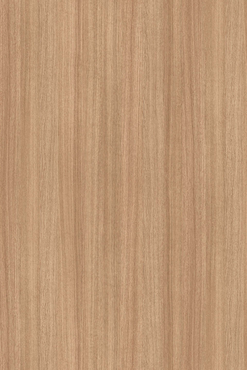 克诺斯邦5501 Slavonia Oak饰面板