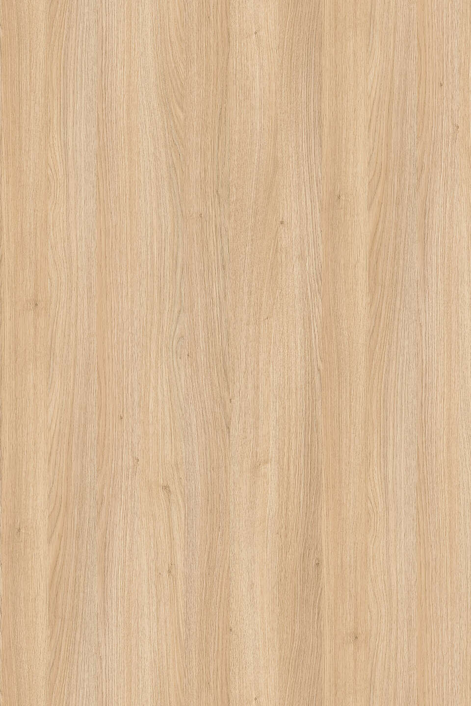 克诺斯邦8431 Fine Oak饰面板