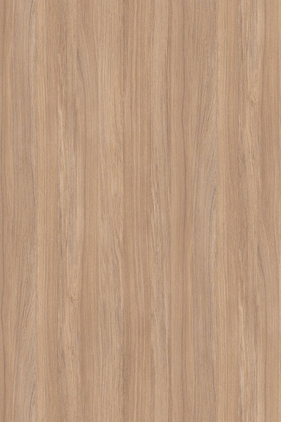 克诺斯邦K006 Amber Urban Oak饰面板
