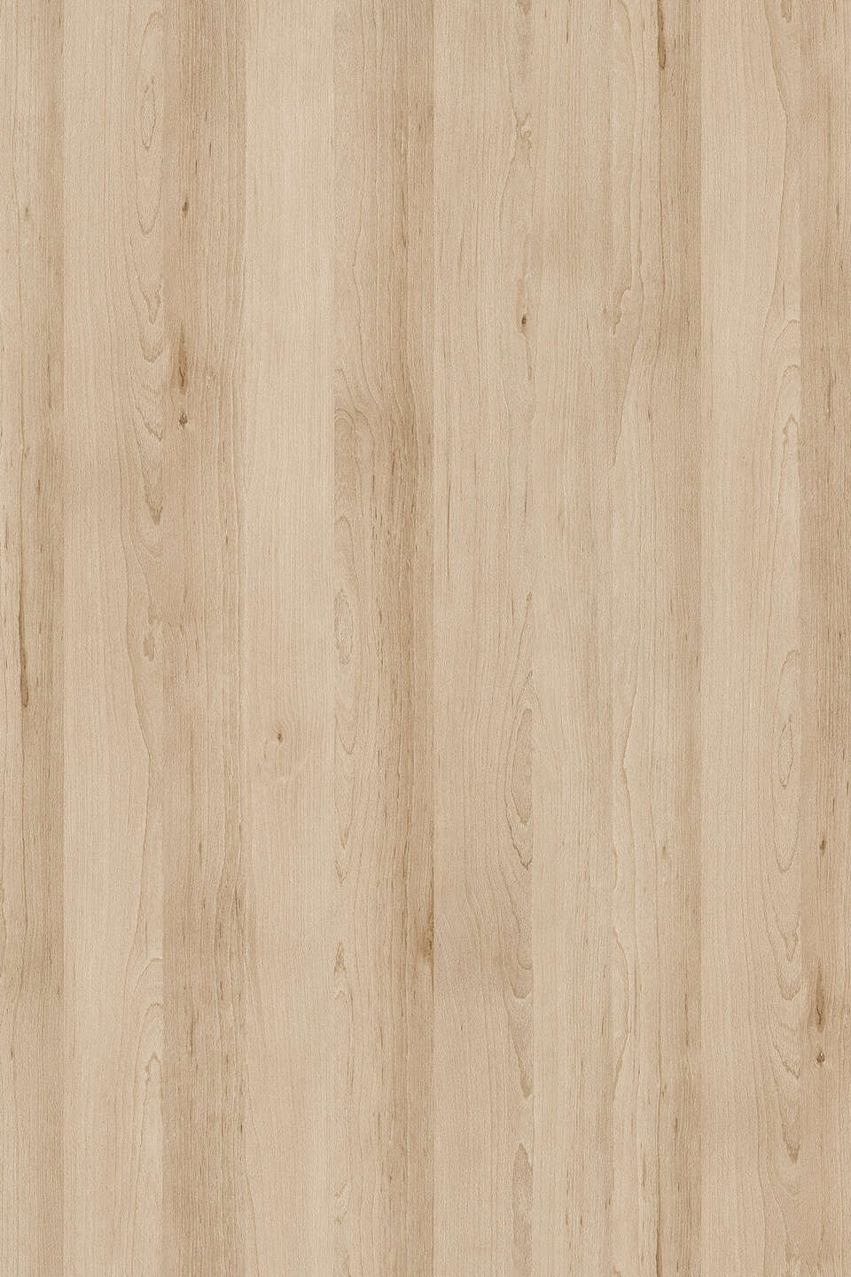 克诺斯邦K013 Sand Artisan Beech饰面板