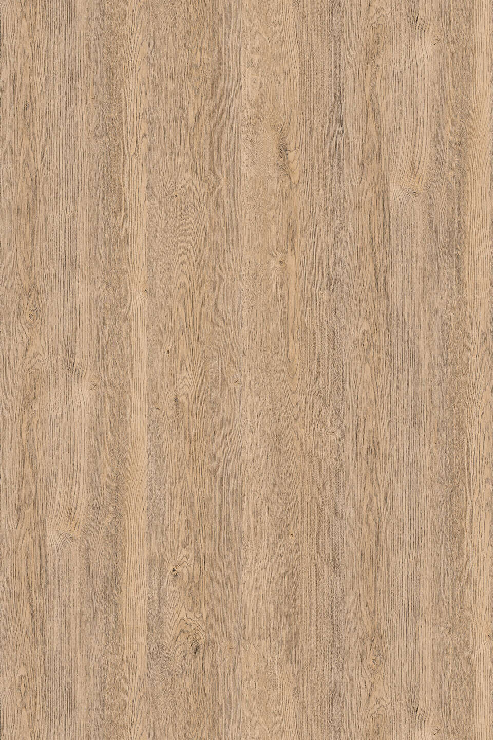 克诺斯邦K076 Sand Expressive Oak饰面板