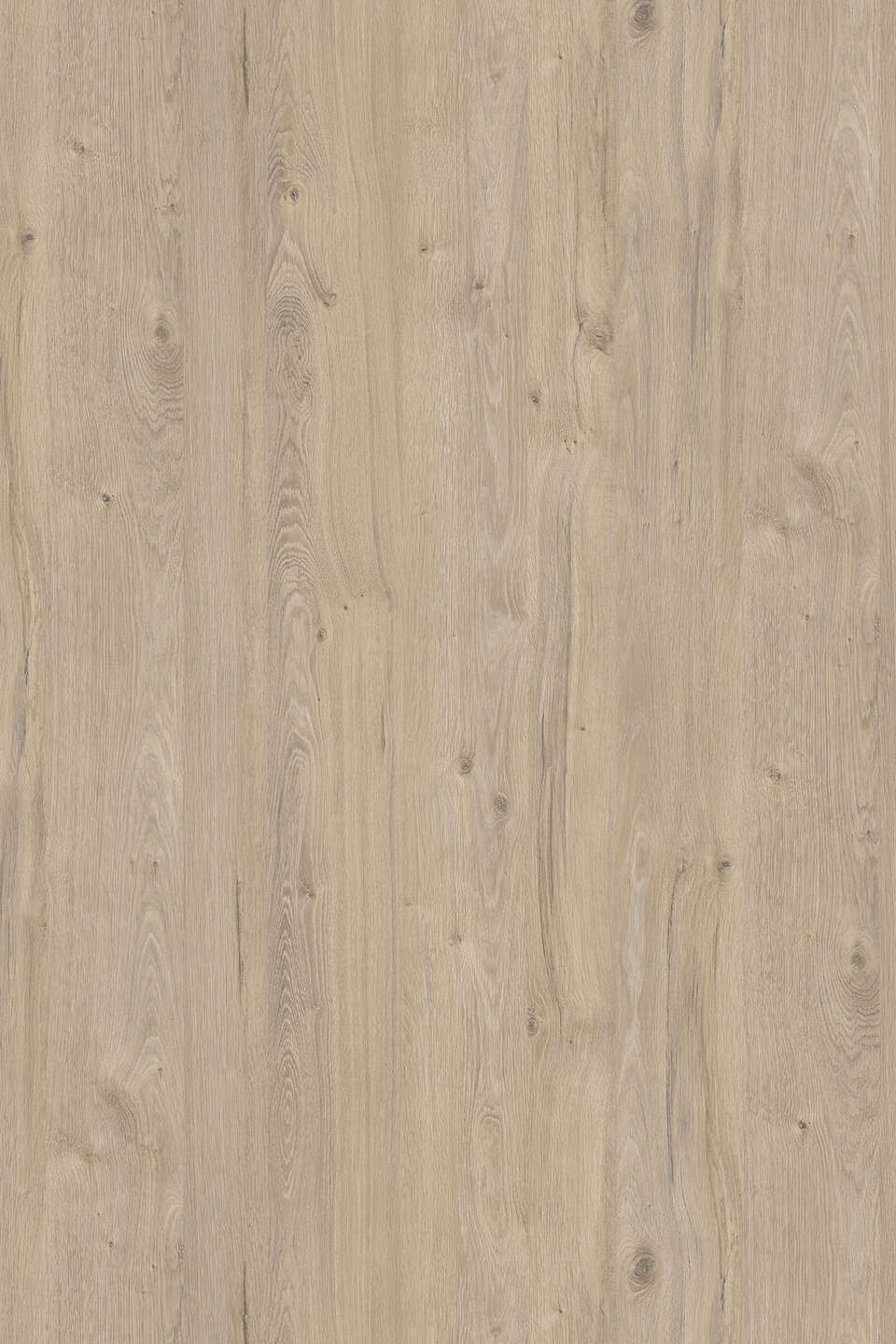 克诺斯邦K081 Satin Coastland Oak饰面板