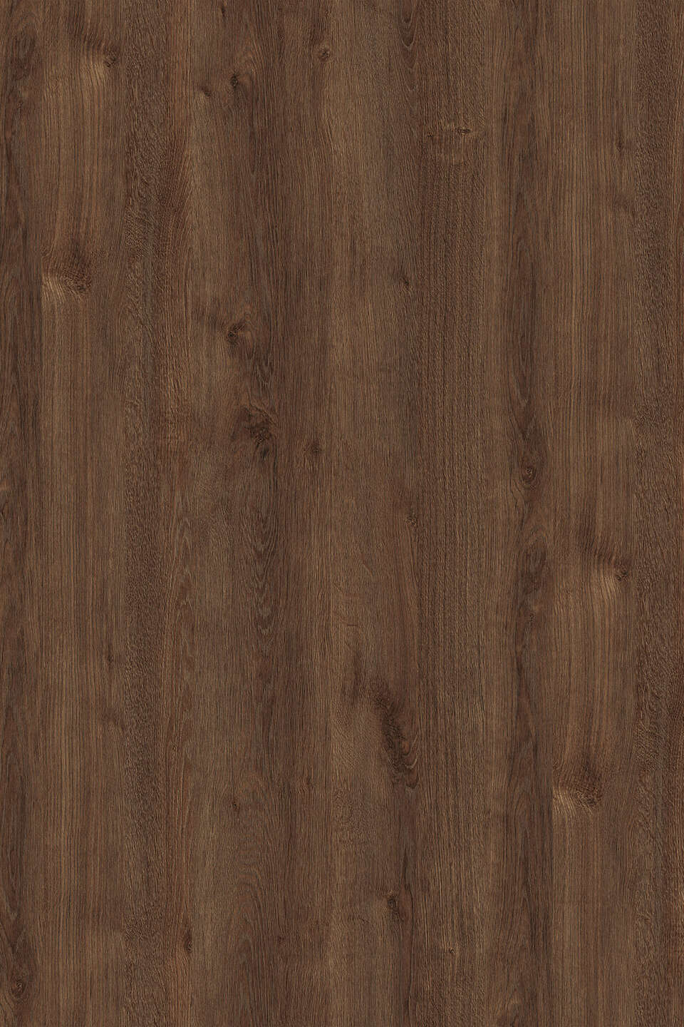 克诺斯邦K090 Bronze Expressive Oak饰面板