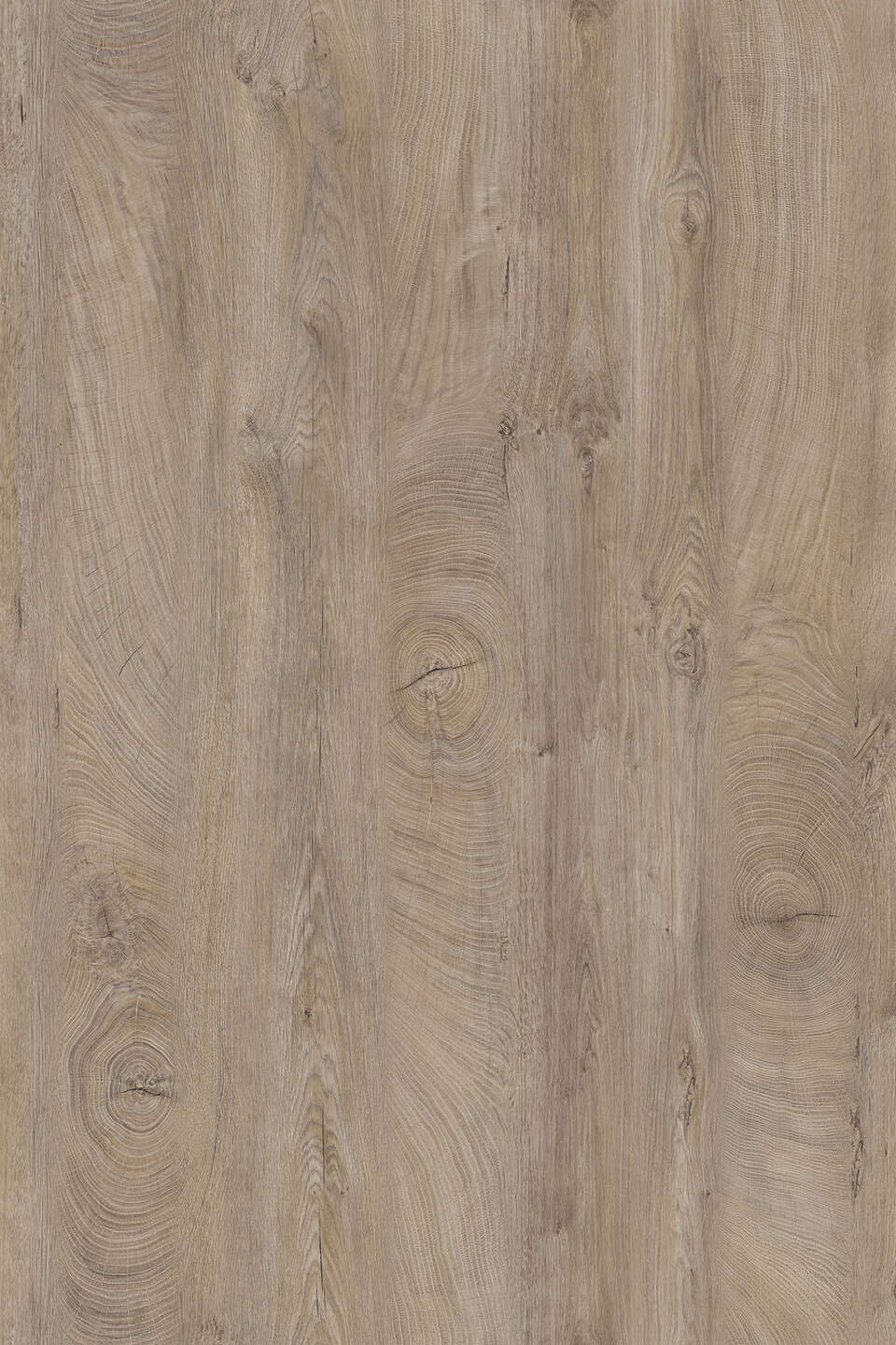 克诺斯邦K105 Raw Endgrain Oak饰面板