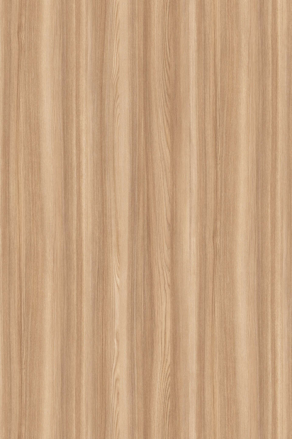 克诺斯邦K525 Blonde Surfside Ash饰面板