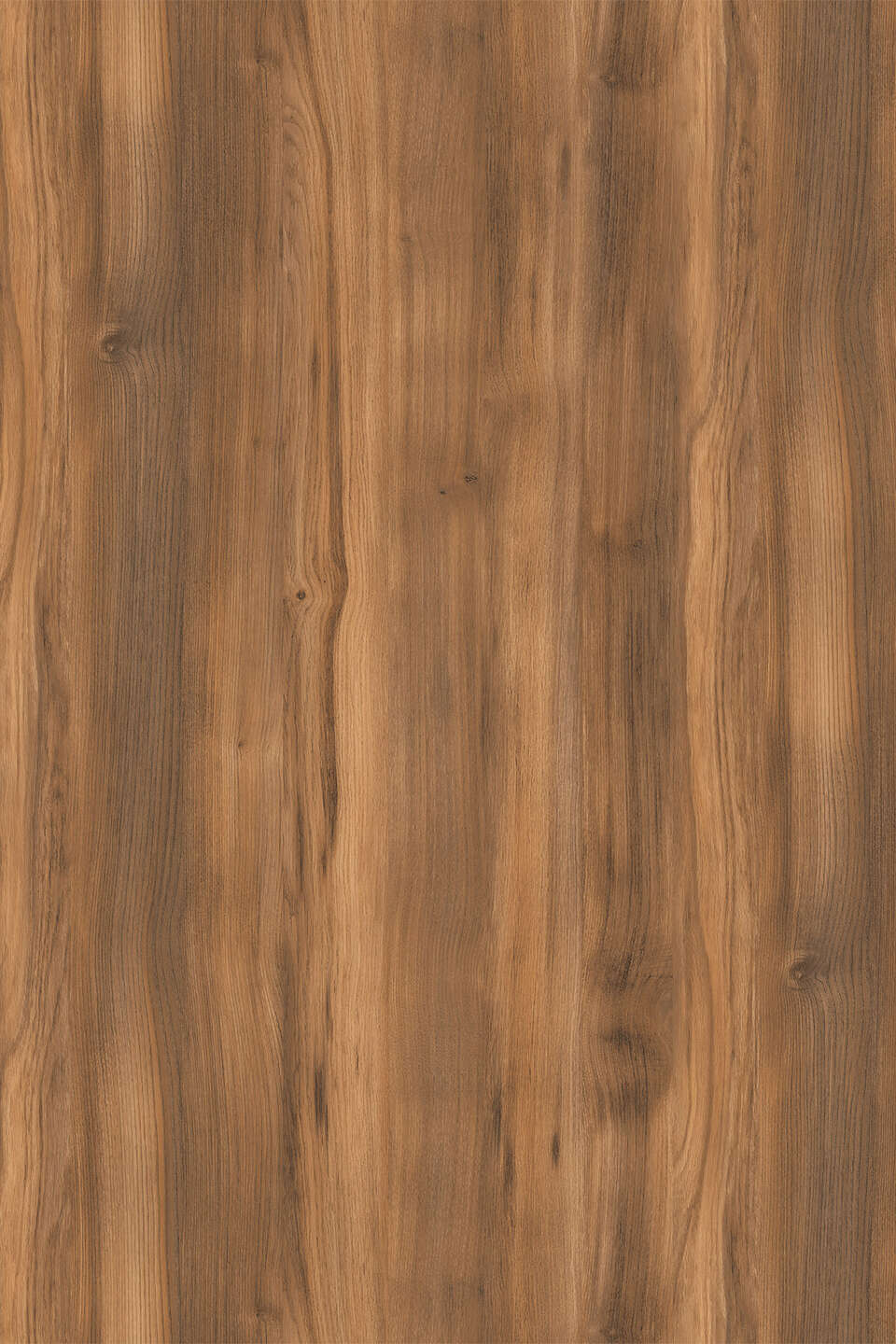 克诺斯邦K536 Amber Baroque Oak饰面板