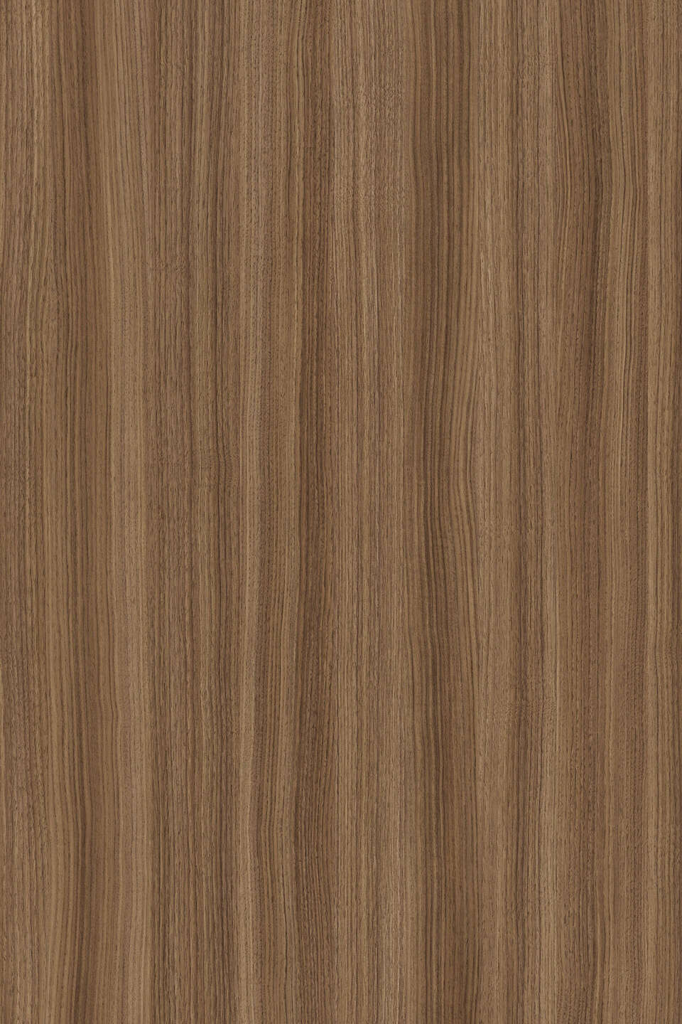 克诺斯邦K546 Caramel Franklin Walnut饰面板