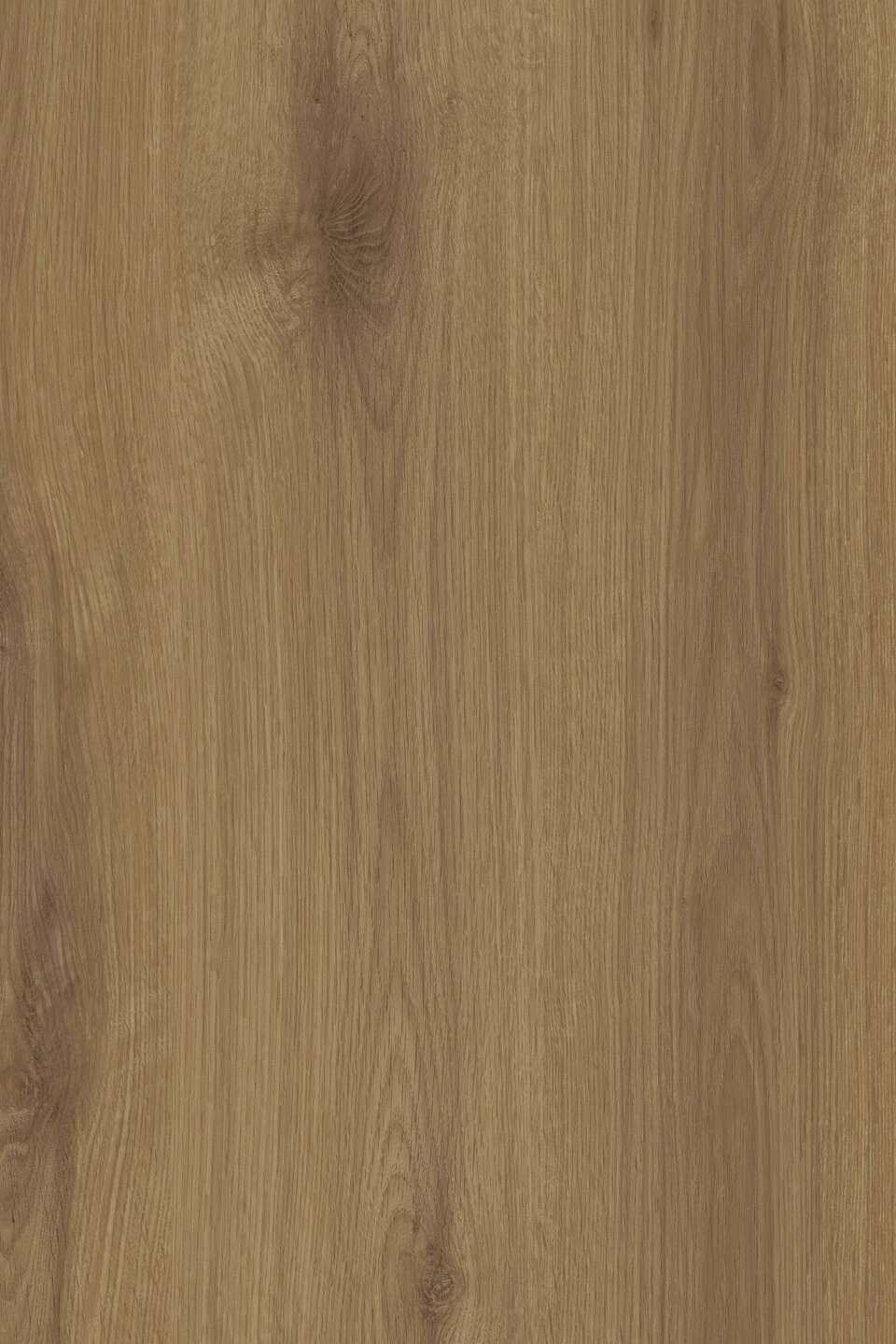 克诺斯邦K688 Natural Canella Oak饰面板