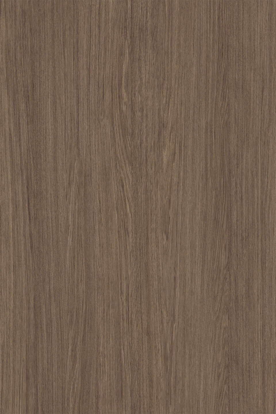 克诺斯邦K696 Umber Primavera Oak饰面板