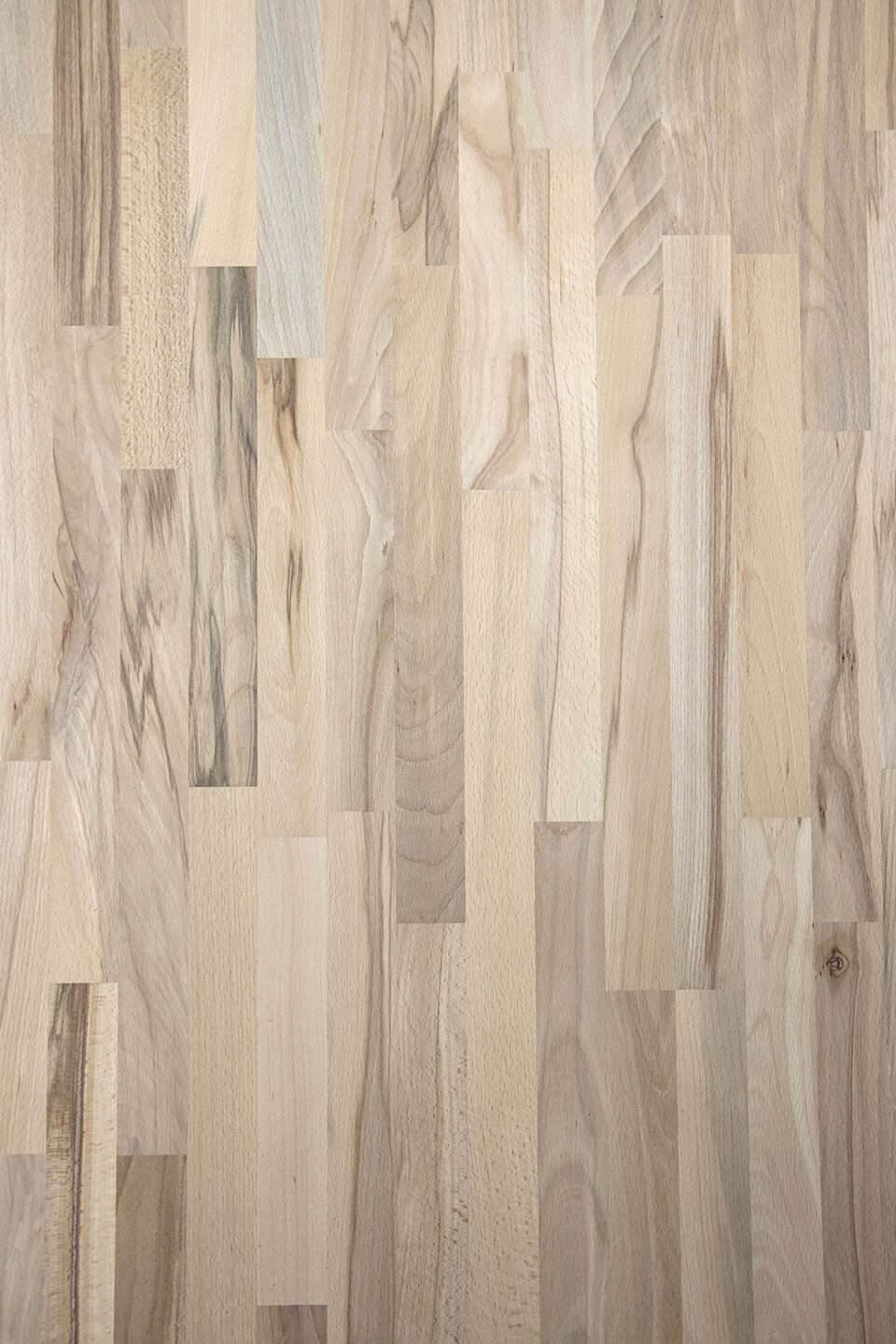克诺斯邦SW07 Beech Country Art饰面板