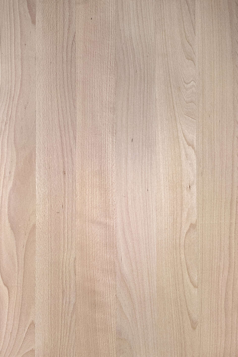 克诺斯邦SW09 Beech Continuous Lamellas饰面板