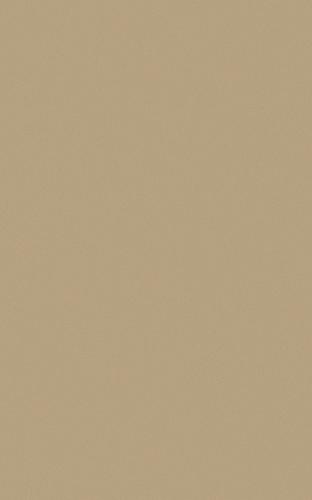 LX HausysLM007RG Bronze饰面