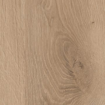 飞德莱R20381 奥尔巴赫橡木饰面