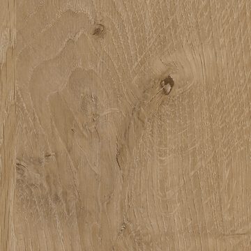 飞德莱R20455 沙色百富橡木饰面