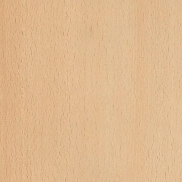 飞德莱R24035 绽放的山毛榉饰面
