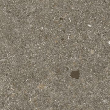 飞德莱S68065 提切诺灰褐饰面