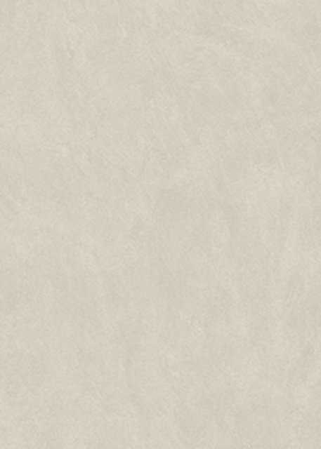 萨维奥拉A05 Anamudi Stone Beige Chiaro饰面板