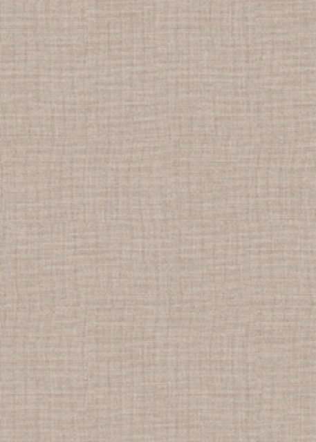 萨维奥拉A34 Grigio Lucenta Medio饰面板