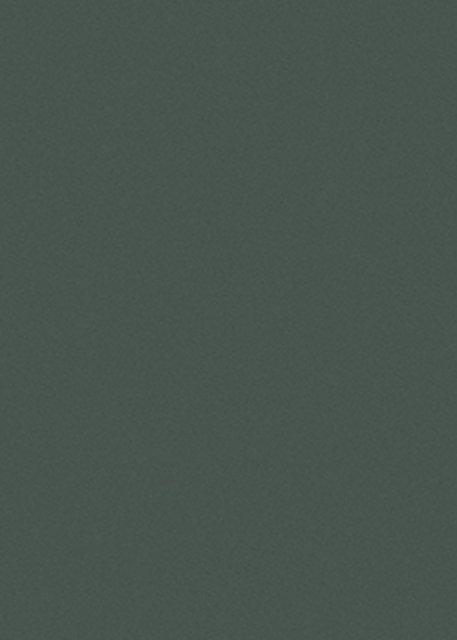萨维奥拉AD6 Eccimeri Green饰面板